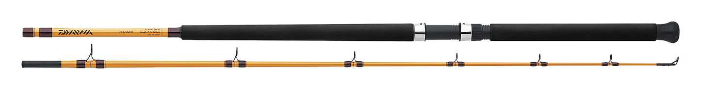FT BOAT & SURF RODS